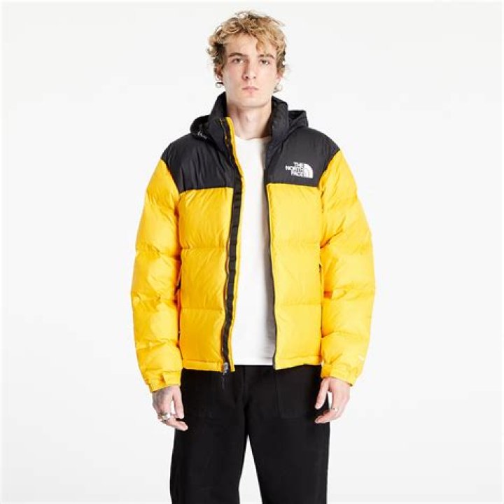How To Wash A Fuzzy North Face Jacket
