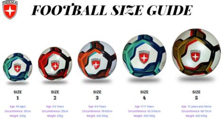 What Is The Circumference Of An Official Soccer Ball